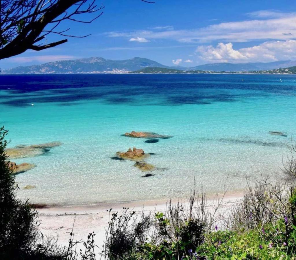 Nouveaute! Magnifique Villa A 2 Minutes Des Plus Belles Plages De La Rive Sud Портисио Екстериор снимка